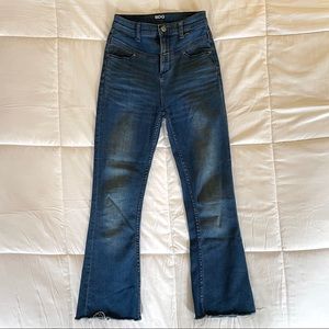 BDG High Rise Seam Flare Jean